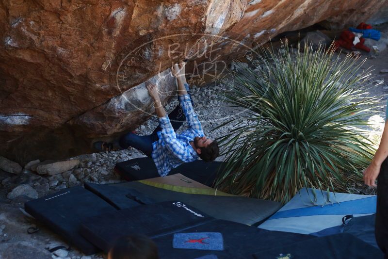 Bouldering in Hueco Tanks on 03/01/2019 with Blue Lizard Climbing and Yoga
Filename: SRM_20190301_1344000.jpg
Aperture: f/3.5
Shutter Speed: 1/160
Body: Canon EOS-1D Mark II
Lens: Canon EF 50mm f/1.8 II