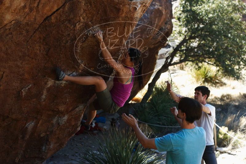 Bouldering in Hueco Tanks on 03/01/2019 with Blue Lizard Climbing and Yoga

Filename: SRM_20190301_1347440.jpg
Aperture: f/3.5
Shutter Speed: 1/320
Body: Canon EOS-1D Mark II
Lens: Canon EF 50mm f/1.8 II