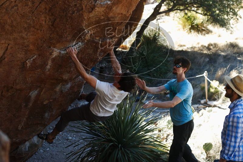 Bouldering in Hueco Tanks on 03/01/2019 with Blue Lizard Climbing and Yoga

Filename: SRM_20190301_1349470.jpg
Aperture: f/3.5
Shutter Speed: 1/320
Body: Canon EOS-1D Mark II
Lens: Canon EF 50mm f/1.8 II