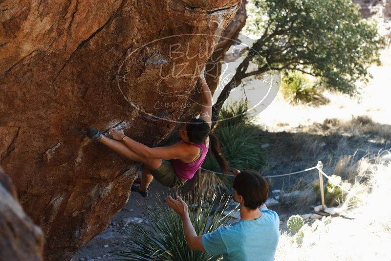 Bouldering in Hueco Tanks on 03/01/2019 with Blue Lizard Climbing and Yoga

Filename: SRM_20190301_1351330.jpg
Aperture: f/3.5
Shutter Speed: 1/250
Body: Canon EOS-1D Mark II
Lens: Canon EF 50mm f/1.8 II