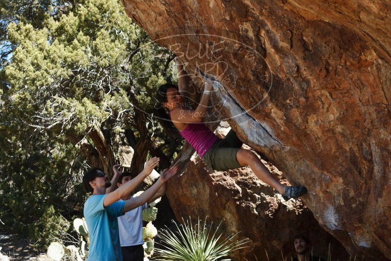 Bouldering in Hueco Tanks on 03/01/2019 with Blue Lizard Climbing and Yoga

Filename: SRM_20190301_1409061.jpg
Aperture: f/4.0
Shutter Speed: 1/400
Body: Canon EOS-1D Mark II
Lens: Canon EF 50mm f/1.8 II