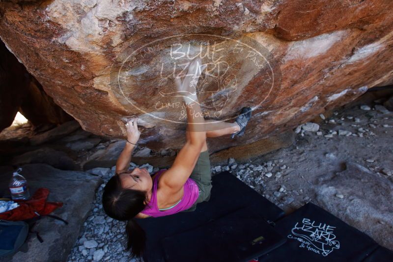 Bouldering in Hueco Tanks on 03/01/2019 with Blue Lizard Climbing and Yoga

Filename: SRM_20190301_1450440.jpg
Aperture: f/5.0
Shutter Speed: 1/200
Body: Canon EOS-1D Mark II
Lens: Canon EF 16-35mm f/2.8 L