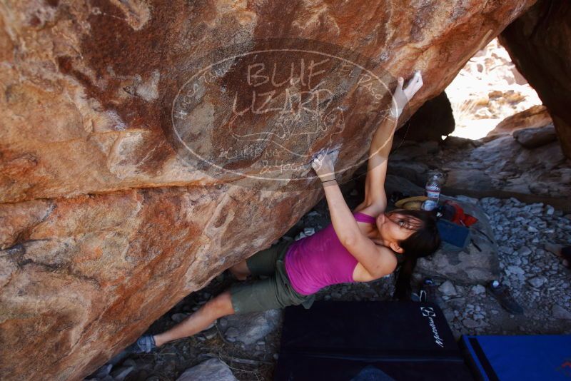 Bouldering in Hueco Tanks on 03/01/2019 with Blue Lizard Climbing and Yoga

Filename: SRM_20190301_1500070.jpg
Aperture: f/5.0
Shutter Speed: 1/250
Body: Canon EOS-1D Mark II
Lens: Canon EF 16-35mm f/2.8 L