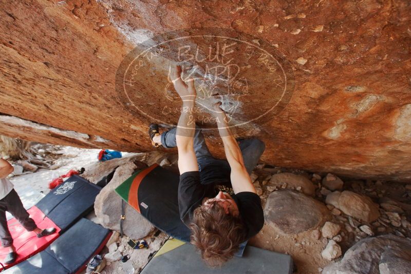 Bouldering in Hueco Tanks on 03/01/2019 with Blue Lizard Climbing and Yoga

Filename: SRM_20190301_1552290.jpg
Aperture: f/5.6
Shutter Speed: 1/320
Body: Canon EOS-1D Mark II
Lens: Canon EF 16-35mm f/2.8 L