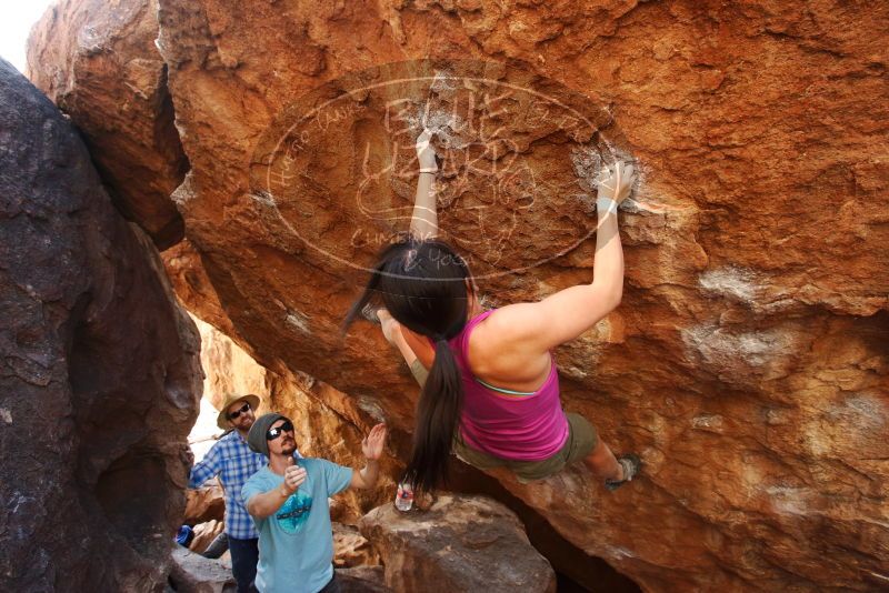 Bouldering in Hueco Tanks on 03/01/2019 with Blue Lizard Climbing and Yoga

Filename: SRM_20190301_1612040.jpg
Aperture: f/5.6
Shutter Speed: 1/125
Body: Canon EOS-1D Mark II
Lens: Canon EF 16-35mm f/2.8 L