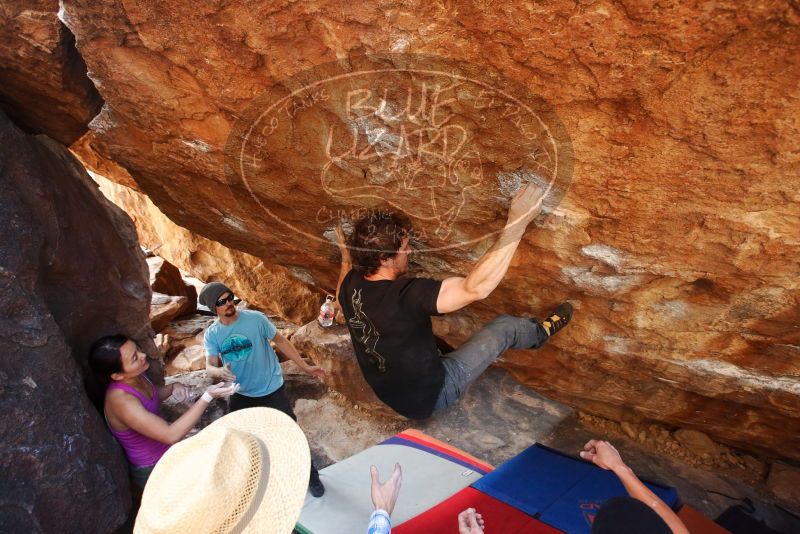 Bouldering in Hueco Tanks on 03/01/2019 with Blue Lizard Climbing and Yoga

Filename: SRM_20190301_1618540.jpg
Aperture: f/4.5
Shutter Speed: 1/250
Body: Canon EOS-1D Mark II
Lens: Canon EF 16-35mm f/2.8 L