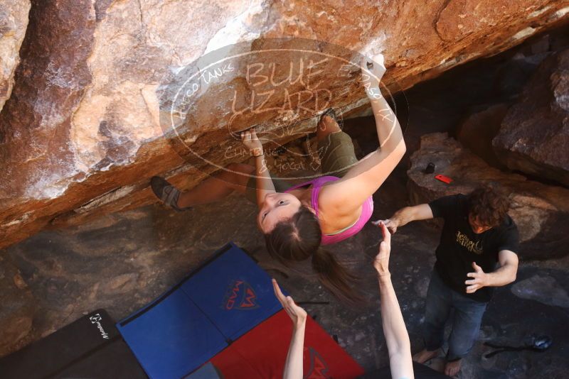 Bouldering in Hueco Tanks on 03/01/2019 with Blue Lizard Climbing and Yoga

Filename: SRM_20190301_1724140.jpg
Aperture: f/5.0
Shutter Speed: 1/200
Body: Canon EOS-1D Mark II
Lens: Canon EF 16-35mm f/2.8 L