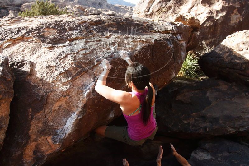 Bouldering in Hueco Tanks on 03/01/2019 with Blue Lizard Climbing and Yoga

Filename: SRM_20190301_1724370.jpg
Aperture: f/5.0
Shutter Speed: 1/1000
Body: Canon EOS-1D Mark II
Lens: Canon EF 16-35mm f/2.8 L