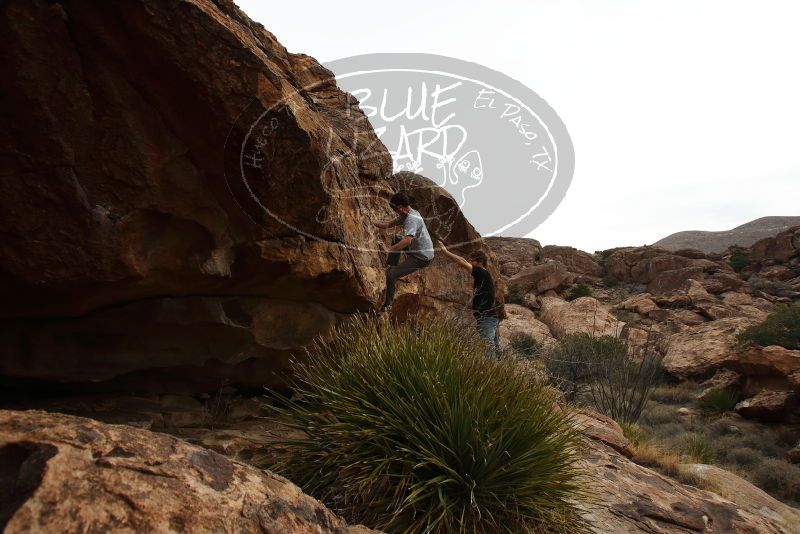 Bouldering in Hueco Tanks on 03/02/2019 with Blue Lizard Climbing and Yoga

Filename: SRM_20190302_1019160.jpg
Aperture: f/5.6
Shutter Speed: 1/800
Body: Canon EOS-1D Mark II
Lens: Canon EF 16-35mm f/2.8 L