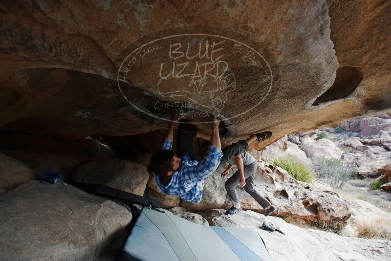 Bouldering in Hueco Tanks on 03/02/2019 with Blue Lizard Climbing and Yoga

Filename: SRM_20190302_1050220.jpg
Aperture: f/5.6
Shutter Speed: 1/250
Body: Canon EOS-1D Mark II
Lens: Canon EF 16-35mm f/2.8 L