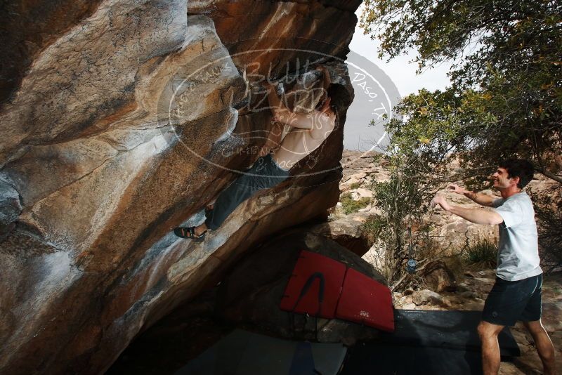 Bouldering in Hueco Tanks on 03/02/2019 with Blue Lizard Climbing and Yoga

Filename: SRM_20190302_1219100.jpg
Aperture: f/8.0
Shutter Speed: 1/250
Body: Canon EOS-1D Mark II
Lens: Canon EF 16-35mm f/2.8 L