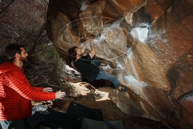 Bouldering in Hueco Tanks on 03/02/2019 with Blue Lizard Climbing and Yoga

Filename: SRM_20190302_1334520.jpg
Aperture: f/5.6
Shutter Speed: 1/250
Body: Canon EOS-1D Mark II
Lens: Canon EF 16-35mm f/2.8 L