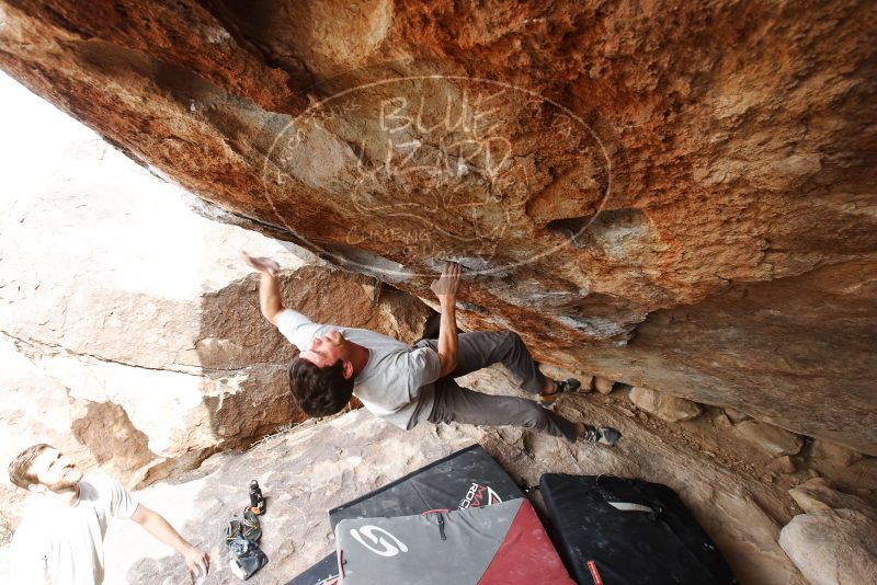 Bouldering in Hueco Tanks on 03/02/2019 with Blue Lizard Climbing and Yoga
Filename: SRM_20190302_1349430.jpg
Aperture: f/5.6
Shutter Speed: 1/250
Body: Canon EOS-1D Mark II
Lens: Canon EF 16-35mm f/2.8 L