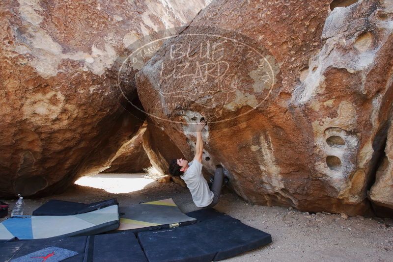 Bouldering in Hueco Tanks on 03/02/2019 with Blue Lizard Climbing and Yoga

Filename: SRM_20190302_1448440.jpg
Aperture: f/5.6
Shutter Speed: 1/250
Body: Canon EOS-1D Mark II
Lens: Canon EF 16-35mm f/2.8 L