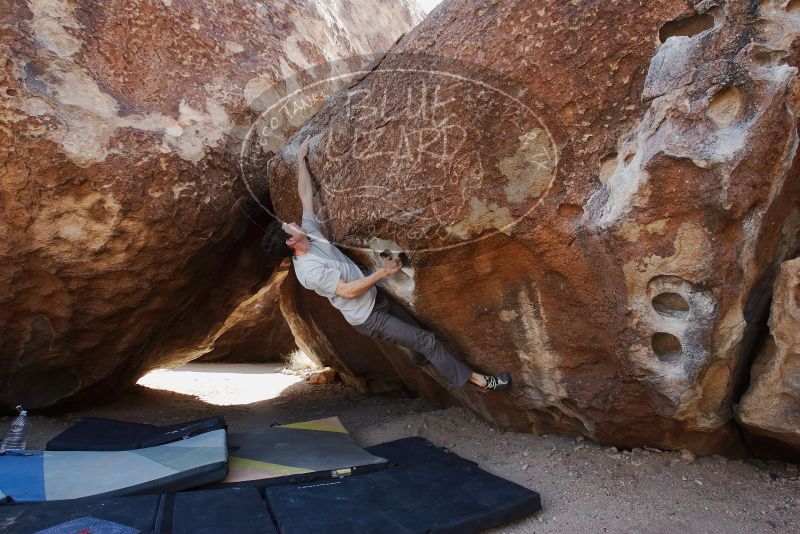 Bouldering in Hueco Tanks on 03/02/2019 with Blue Lizard Climbing and Yoga

Filename: SRM_20190302_1448540.jpg
Aperture: f/5.6
Shutter Speed: 1/250
Body: Canon EOS-1D Mark II
Lens: Canon EF 16-35mm f/2.8 L