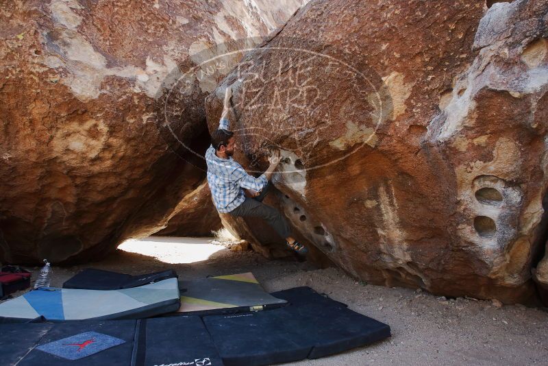 Bouldering in Hueco Tanks on 03/02/2019 with Blue Lizard Climbing and Yoga

Filename: SRM_20190302_1450060.jpg
Aperture: f/5.6
Shutter Speed: 1/250
Body: Canon EOS-1D Mark II
Lens: Canon EF 16-35mm f/2.8 L