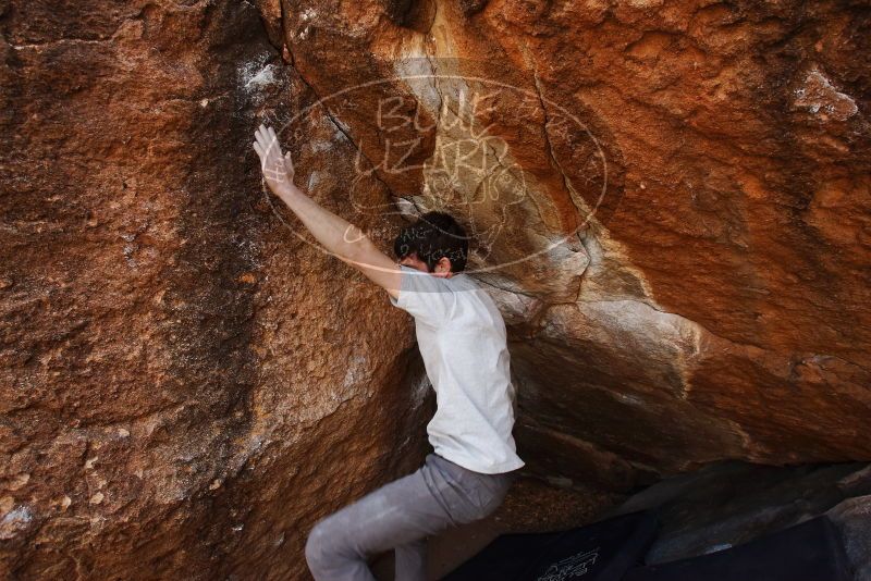 Bouldering in Hueco Tanks on 03/02/2019 with Blue Lizard Climbing and Yoga

Filename: SRM_20190302_1607590.jpg
Aperture: f/5.6
Shutter Speed: 1/250
Body: Canon EOS-1D Mark II
Lens: Canon EF 16-35mm f/2.8 L