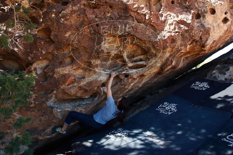 Bouldering in Hueco Tanks on 03/03/2019 with Blue Lizard Climbing and Yoga

Filename: SRM_20190303_1131220.jpg
Aperture: f/5.6
Shutter Speed: 1/250
Body: Canon EOS-1D Mark II
Lens: Canon EF 16-35mm f/2.8 L