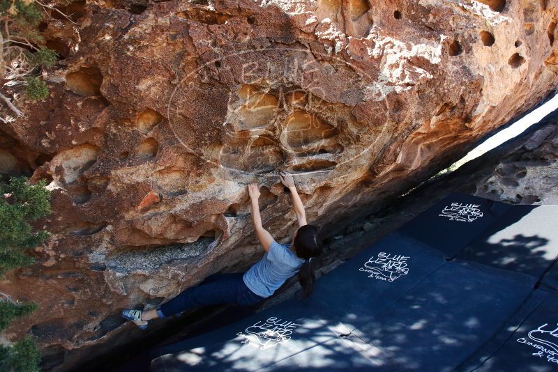 Bouldering in Hueco Tanks on 03/03/2019 with Blue Lizard Climbing and Yoga

Filename: SRM_20190303_1131280.jpg
Aperture: f/5.6
Shutter Speed: 1/250
Body: Canon EOS-1D Mark II
Lens: Canon EF 16-35mm f/2.8 L