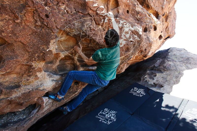 Bouldering in Hueco Tanks on 03/03/2019 with Blue Lizard Climbing and Yoga

Filename: SRM_20190303_1136260.jpg
Aperture: f/5.6
Shutter Speed: 1/250
Body: Canon EOS-1D Mark II
Lens: Canon EF 16-35mm f/2.8 L