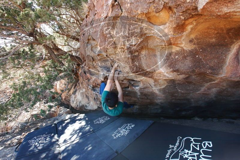 Bouldering in Hueco Tanks on 03/03/2019 with Blue Lizard Climbing and Yoga

Filename: SRM_20190303_1141070.jpg
Aperture: f/5.6
Shutter Speed: 1/250
Body: Canon EOS-1D Mark II
Lens: Canon EF 16-35mm f/2.8 L