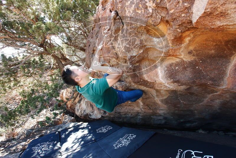 Bouldering in Hueco Tanks on 03/03/2019 with Blue Lizard Climbing and Yoga

Filename: SRM_20190303_1141190.jpg
Aperture: f/5.6
Shutter Speed: 1/250
Body: Canon EOS-1D Mark II
Lens: Canon EF 16-35mm f/2.8 L