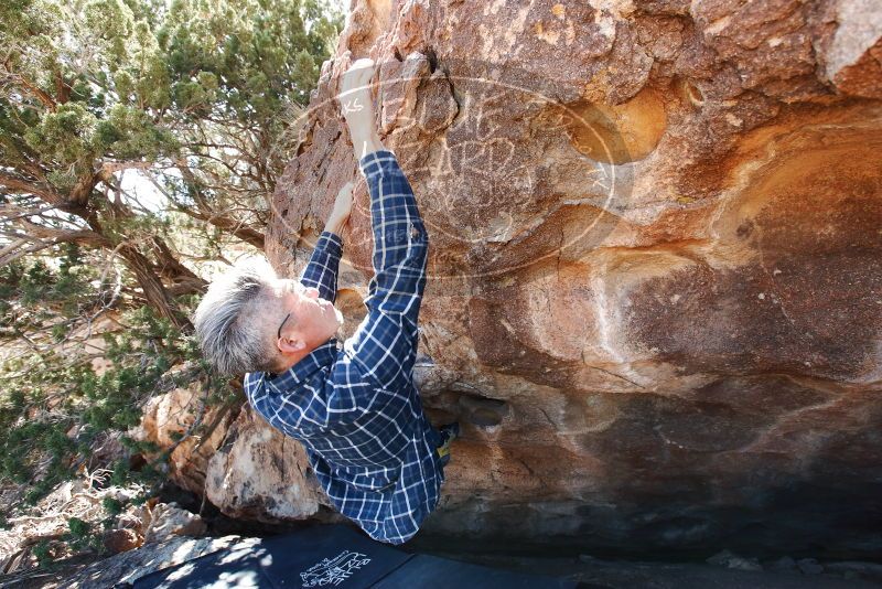 Bouldering in Hueco Tanks on 03/03/2019 with Blue Lizard Climbing and Yoga

Filename: SRM_20190303_1142580.jpg
Aperture: f/5.6
Shutter Speed: 1/250
Body: Canon EOS-1D Mark II
Lens: Canon EF 16-35mm f/2.8 L
