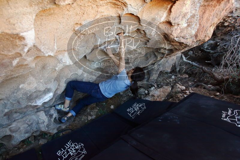 Bouldering in Hueco Tanks on 03/03/2019 with Blue Lizard Climbing and Yoga

Filename: SRM_20190303_1200330.jpg
Aperture: f/4.0
Shutter Speed: 1/200
Body: Canon EOS-1D Mark II
Lens: Canon EF 16-35mm f/2.8 L