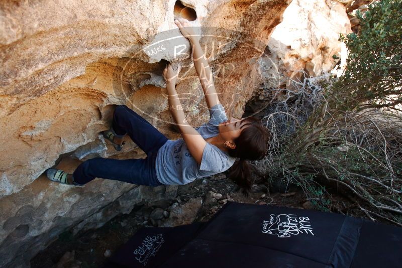 Bouldering in Hueco Tanks on 03/03/2019 with Blue Lizard Climbing and Yoga

Filename: SRM_20190303_1200460.jpg
Aperture: f/5.6
Shutter Speed: 1/200
Body: Canon EOS-1D Mark II
Lens: Canon EF 16-35mm f/2.8 L