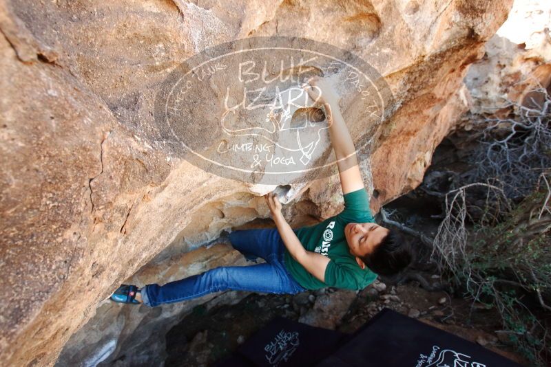 Bouldering in Hueco Tanks on 03/03/2019 with Blue Lizard Climbing and Yoga

Filename: SRM_20190303_1203520.jpg
Aperture: f/5.0
Shutter Speed: 1/250
Body: Canon EOS-1D Mark II
Lens: Canon EF 16-35mm f/2.8 L