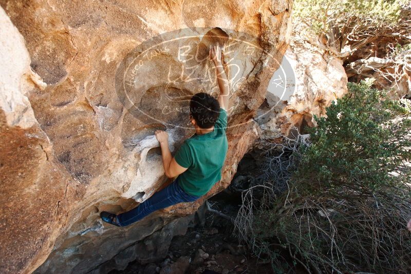Bouldering in Hueco Tanks on 03/03/2019 with Blue Lizard Climbing and Yoga

Filename: SRM_20190303_1204000.jpg
Aperture: f/6.3
Shutter Speed: 1/250
Body: Canon EOS-1D Mark II
Lens: Canon EF 16-35mm f/2.8 L