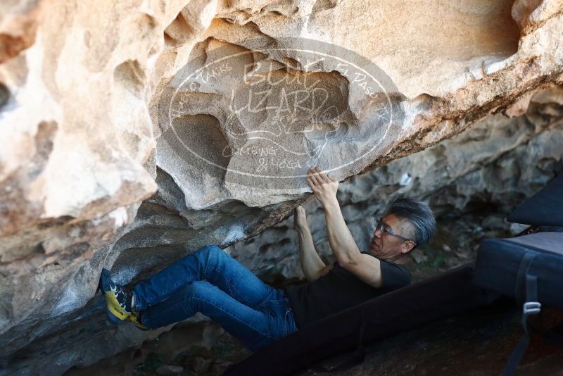 Bouldering in Hueco Tanks on 03/03/2019 with Blue Lizard Climbing and Yoga

Filename: SRM_20190303_1221360.jpg
Aperture: f/3.2
Shutter Speed: 1/320
Body: Canon EOS-1D Mark II
Lens: Canon EF 50mm f/1.8 II