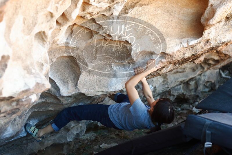 Bouldering in Hueco Tanks on 03/03/2019 with Blue Lizard Climbing and Yoga

Filename: SRM_20190303_1224520.jpg
Aperture: f/3.5
Shutter Speed: 1/160
Body: Canon EOS-1D Mark II
Lens: Canon EF 50mm f/1.8 II