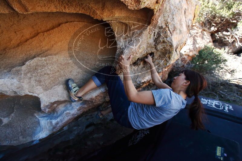 Bouldering in Hueco Tanks on 03/03/2019 with Blue Lizard Climbing and Yoga

Filename: SRM_20190303_1229230.jpg
Aperture: f/5.0
Shutter Speed: 1/640
Body: Canon EOS-1D Mark II
Lens: Canon EF 16-35mm f/2.8 L