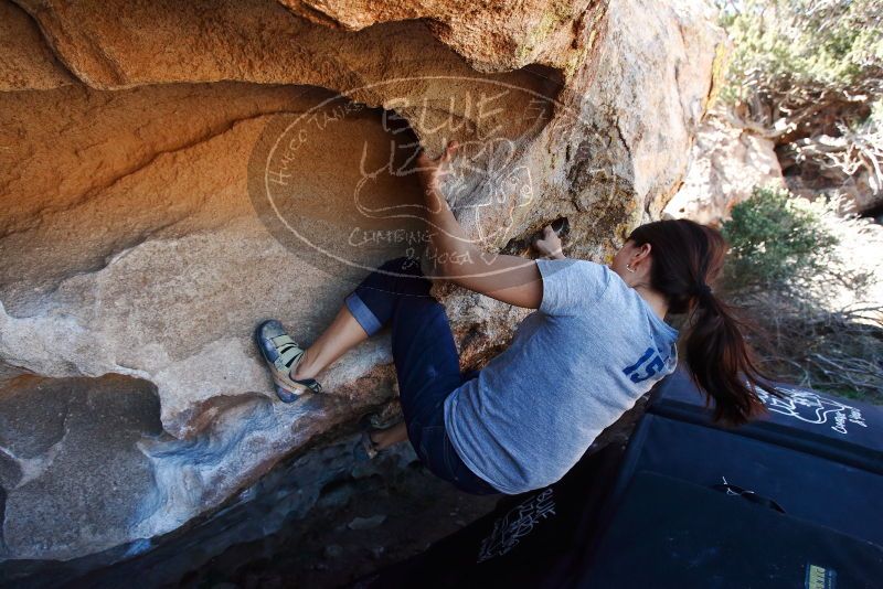 Bouldering in Hueco Tanks on 03/03/2019 with Blue Lizard Climbing and Yoga

Filename: SRM_20190303_1229270.jpg
Aperture: f/5.0
Shutter Speed: 1/500
Body: Canon EOS-1D Mark II
Lens: Canon EF 16-35mm f/2.8 L