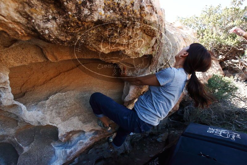Bouldering in Hueco Tanks on 03/03/2019 with Blue Lizard Climbing and Yoga

Filename: SRM_20190303_1229290.jpg
Aperture: f/5.0
Shutter Speed: 1/800
Body: Canon EOS-1D Mark II
Lens: Canon EF 16-35mm f/2.8 L