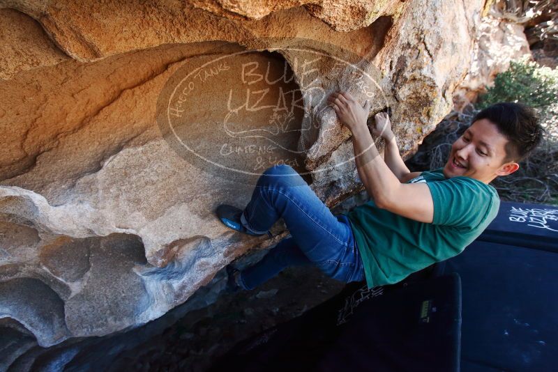 Bouldering in Hueco Tanks on 03/03/2019 with Blue Lizard Climbing and Yoga

Filename: SRM_20190303_1233190.jpg
Aperture: f/5.0
Shutter Speed: 1/500
Body: Canon EOS-1D Mark II
Lens: Canon EF 16-35mm f/2.8 L