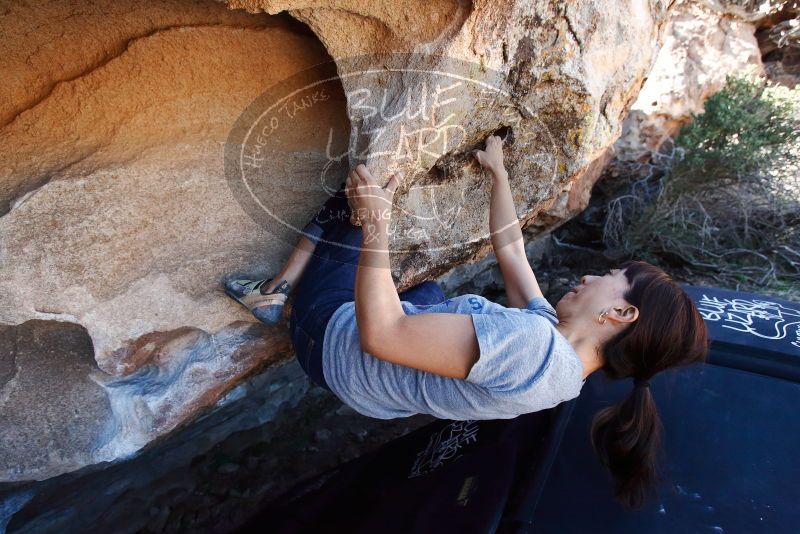 Bouldering in Hueco Tanks on 03/03/2019 with Blue Lizard Climbing and Yoga

Filename: SRM_20190303_1234290.jpg
Aperture: f/5.0
Shutter Speed: 1/500
Body: Canon EOS-1D Mark II
Lens: Canon EF 16-35mm f/2.8 L