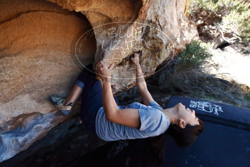 Bouldering in Hueco Tanks on 03/03/2019 with Blue Lizard Climbing and Yoga

Filename: SRM_20190303_1234310.jpg
Aperture: f/5.0
Shutter Speed: 1/640
Body: Canon EOS-1D Mark II
Lens: Canon EF 16-35mm f/2.8 L