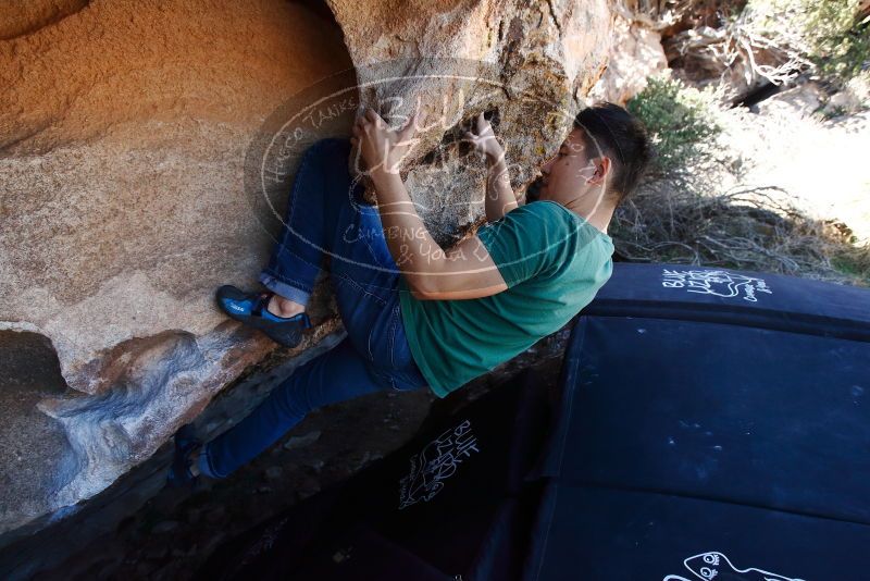 Bouldering in Hueco Tanks on 03/03/2019 with Blue Lizard Climbing and Yoga

Filename: SRM_20190303_1236310.jpg
Aperture: f/5.0
Shutter Speed: 1/640
Body: Canon EOS-1D Mark II
Lens: Canon EF 16-35mm f/2.8 L