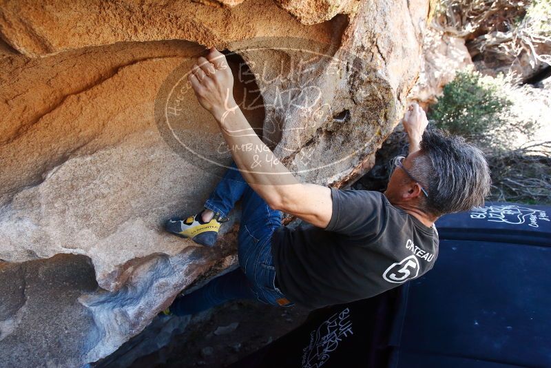 Bouldering in Hueco Tanks on 03/03/2019 with Blue Lizard Climbing and Yoga

Filename: SRM_20190303_1237430.jpg
Aperture: f/5.0
Shutter Speed: 1/640
Body: Canon EOS-1D Mark II
Lens: Canon EF 16-35mm f/2.8 L