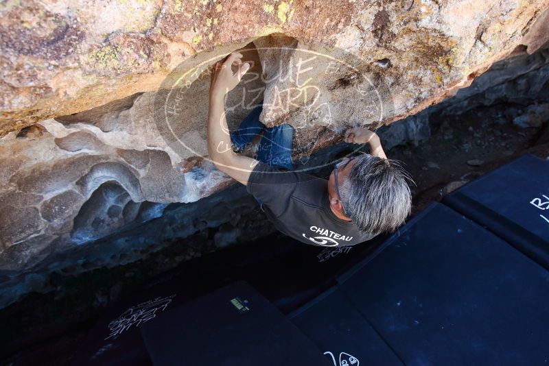 Bouldering in Hueco Tanks on 03/03/2019 with Blue Lizard Climbing and Yoga

Filename: SRM_20190303_1237460.jpg
Aperture: f/5.0
Shutter Speed: 1/400
Body: Canon EOS-1D Mark II
Lens: Canon EF 16-35mm f/2.8 L