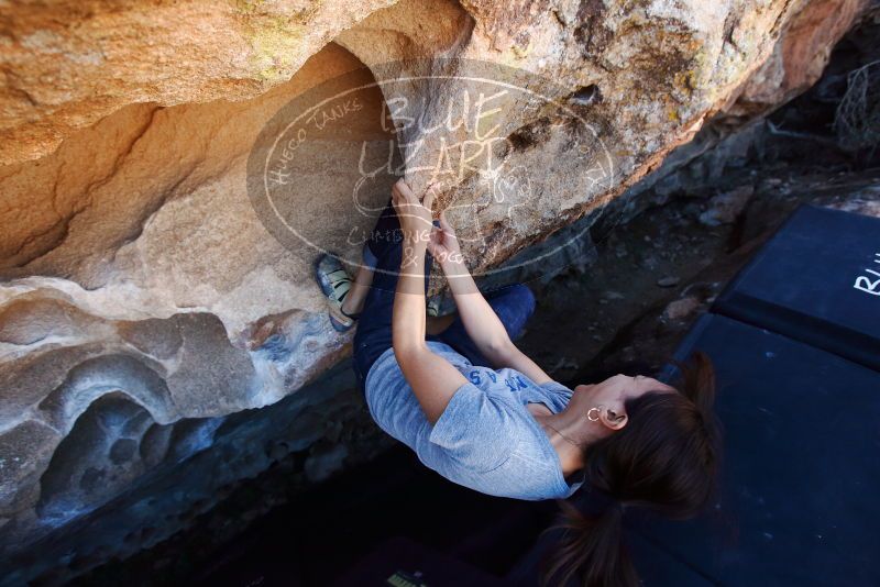 Bouldering in Hueco Tanks on 03/03/2019 with Blue Lizard Climbing and Yoga

Filename: SRM_20190303_1238370.jpg
Aperture: f/5.0
Shutter Speed: 1/500
Body: Canon EOS-1D Mark II
Lens: Canon EF 16-35mm f/2.8 L