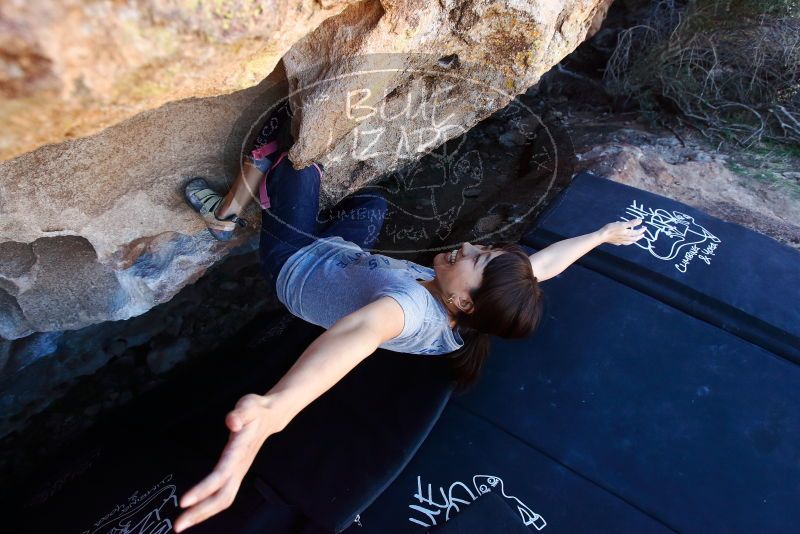 Bouldering in Hueco Tanks on 03/03/2019 with Blue Lizard Climbing and Yoga

Filename: SRM_20190303_1240440.jpg
Aperture: f/5.0
Shutter Speed: 1/500
Body: Canon EOS-1D Mark II
Lens: Canon EF 16-35mm f/2.8 L