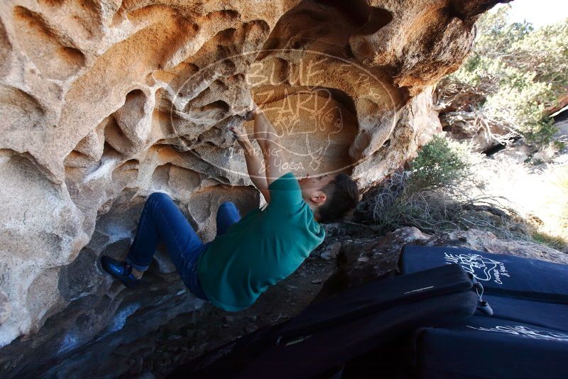 Bouldering in Hueco Tanks on 03/03/2019 with Blue Lizard Climbing and Yoga

Filename: SRM_20190303_1249070.jpg
Aperture: f/5.6
Shutter Speed: 1/400
Body: Canon EOS-1D Mark II
Lens: Canon EF 16-35mm f/2.8 L