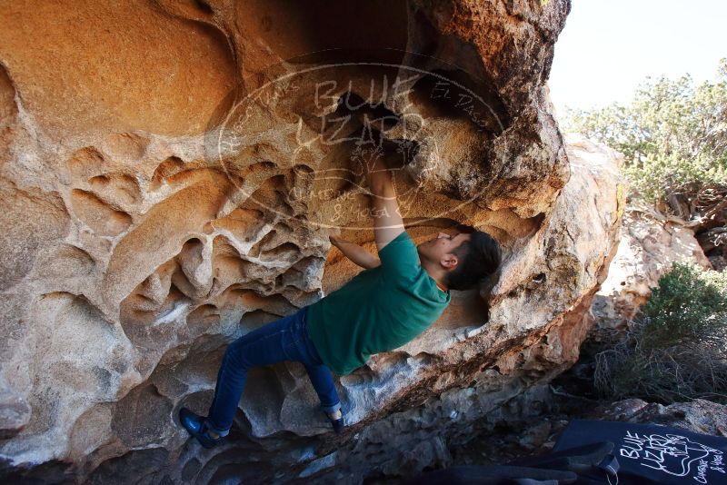 Bouldering in Hueco Tanks on 03/03/2019 with Blue Lizard Climbing and Yoga

Filename: SRM_20190303_1249090.jpg
Aperture: f/5.6
Shutter Speed: 1/500
Body: Canon EOS-1D Mark II
Lens: Canon EF 16-35mm f/2.8 L