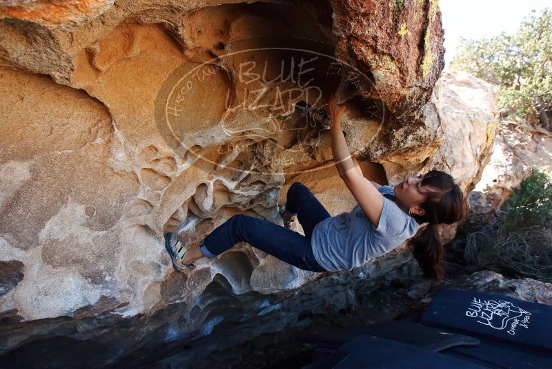 Bouldering in Hueco Tanks on 03/03/2019 with Blue Lizard Climbing and Yoga

Filename: SRM_20190303_1256010.jpg
Aperture: f/5.6
Shutter Speed: 1/320
Body: Canon EOS-1D Mark II
Lens: Canon EF 16-35mm f/2.8 L