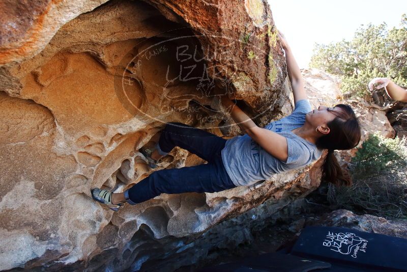 Bouldering in Hueco Tanks on 03/03/2019 with Blue Lizard Climbing and Yoga

Filename: SRM_20190303_1256090.jpg
Aperture: f/5.6
Shutter Speed: 1/320
Body: Canon EOS-1D Mark II
Lens: Canon EF 16-35mm f/2.8 L