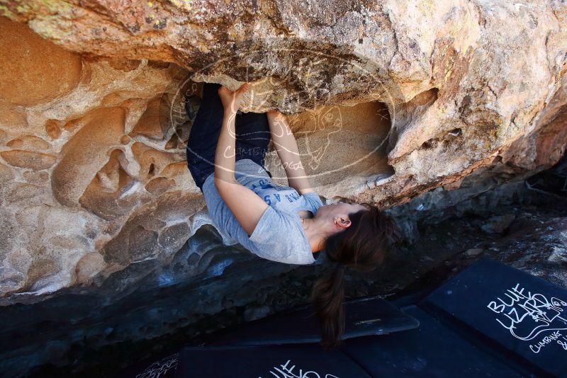 Bouldering in Hueco Tanks on 03/03/2019 with Blue Lizard Climbing and Yoga

Filename: SRM_20190303_1316150.jpg
Aperture: f/5.6
Shutter Speed: 1/320
Body: Canon EOS-1D Mark II
Lens: Canon EF 16-35mm f/2.8 L
