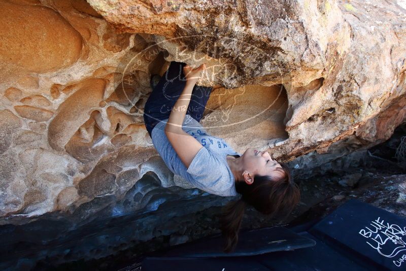 Bouldering in Hueco Tanks on 03/03/2019 with Blue Lizard Climbing and Yoga

Filename: SRM_20190303_1316200.jpg
Aperture: f/5.6
Shutter Speed: 1/320
Body: Canon EOS-1D Mark II
Lens: Canon EF 16-35mm f/2.8 L